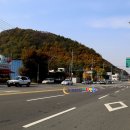 웰빙만두찐빵