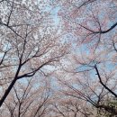 바로고침 이미지