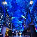 흰수염고래리조트 이미지