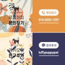 논현 켄넬 이미지