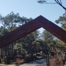 잠원초교-1구간 이미지