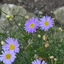 너랑나랑 이미지