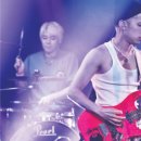 바닐바닐 이미지