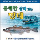 명태한마리 이미지