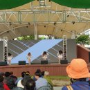 경북영주 풍기인삼축제 | 2025 경북영주풍기인삼축제 기본정보 초청가수 라인업 주차장 외