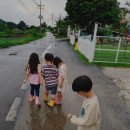 비오는 날☔ + 추석작품활동+ 프로젝트 활동🇰🇷 + 보너스사진 + 산가지나무활동 이미지