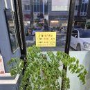 김영희강남아구찜경산점 이미지