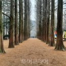 춘천세종관광호텔 이미지