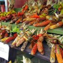 장식농장 이미지