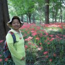 아름여행사 - 화성시 삼천병마로 1276 | 아름여행사