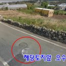 황금빛 민박 이미지