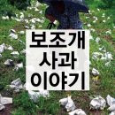 준스마켓