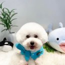 멍둥이