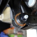 하라코트 이미지