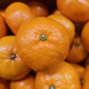 내외로L 이미지