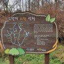 원천교-삼성교 이미지