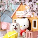 가온펫샵 이미지