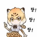 오토프랜즈 Daum카페