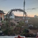 홍예민박 이미지