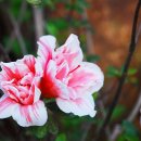 우리친구 이미지