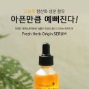 23.월드몰2몰점 BEST 상품 셀링 팁 - 네츄럴퍼시픽 프레쉬 허브 오리진 세럼 이미지