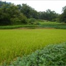 궁촌2리 경로당 이미지