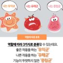 유익균 늘리고 유해균 줄이는 법 이미지