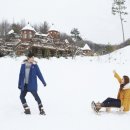 숲속의평창 이미지