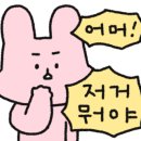 새삶스레 그린그린컴퍼니 이미지