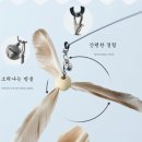 이츠뮤