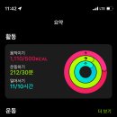 감자이모 이미지