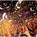 클럽볼륨 이미지