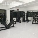 비디피트 이미지