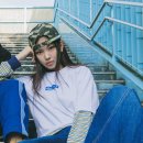 에스헤어 이미지