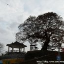 [익산여행]성당포구마을, 넉넉한 인심이 살아있는 곳 이미지