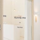 오롯이;독 이미지