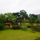 상주곶감공원진입로 이미지