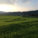 용마세차장 | 아우디 S7 용인 처인구 마평동 셀프세차장에서 분노의 세차 + 연비 자랑