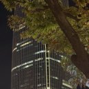금산우육면