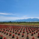 투어버스여행(주) 이미지