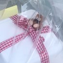 두유라이크