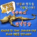 기원인삼