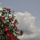 효광중학교 이미지