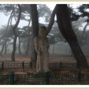 경주괘릉