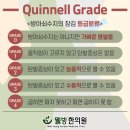 채한의원 이미지