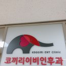 코끼리이비인후과의원 | 광명사거리 이비인후과 (코끼리이비인후과의원)
