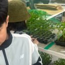 와부농업협동조합경제사업소 이미지