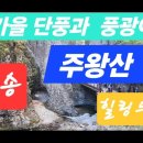 청송길R Daum카페