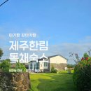 비앤비하우스 | 제주 한림 에어비앤비 추천｜아이랑 강아지랑 머문 진이하우스 숙박 후기