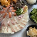 백록집제주함덕점 | 함덕횟집 제주고등어회 맛집 추천 감성 가득한 백록집 제주함덕점 후기